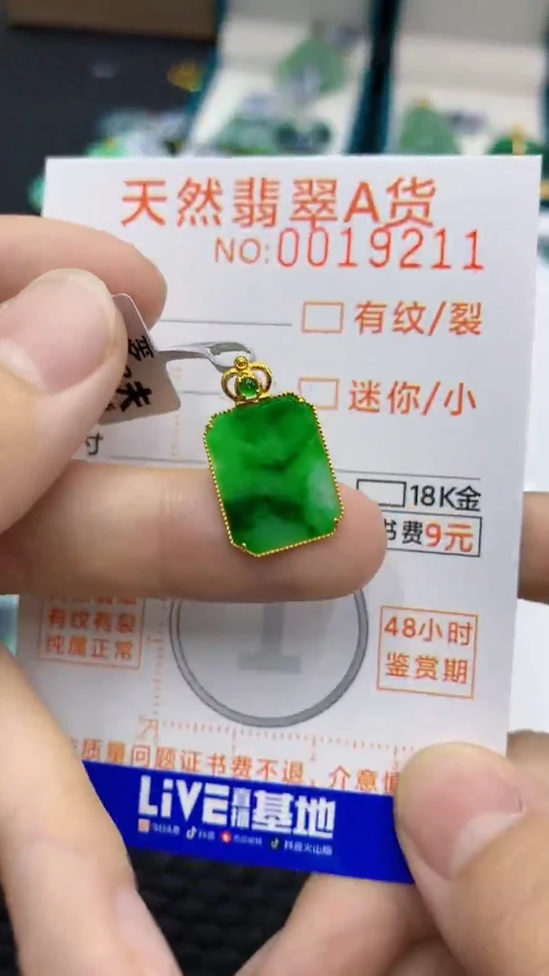 翡翠18K金镶嵌颈饰V            8