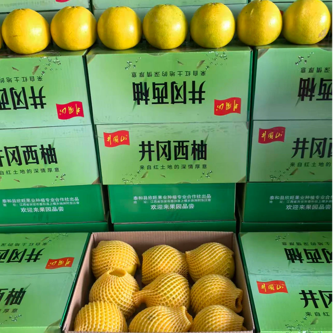 （京东顺丰包邮）江西井冈西柚（带箱十斤，净重9斤）