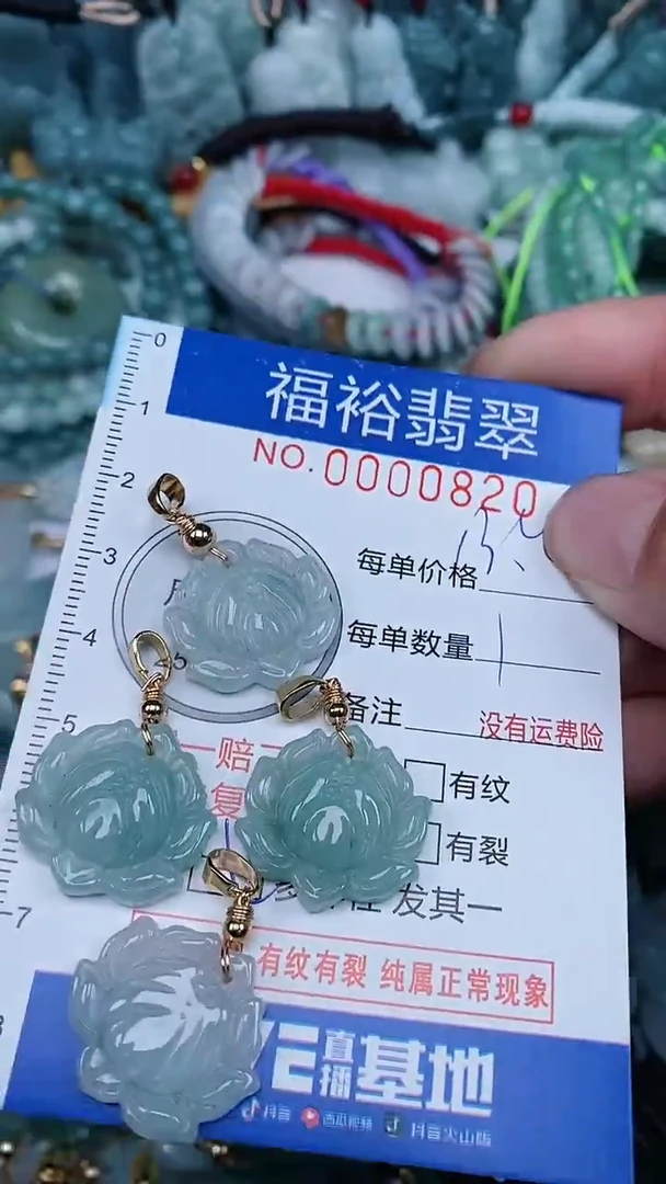 【闪购商品】翡翠颈饰未镶嵌...0000820多样性发其一