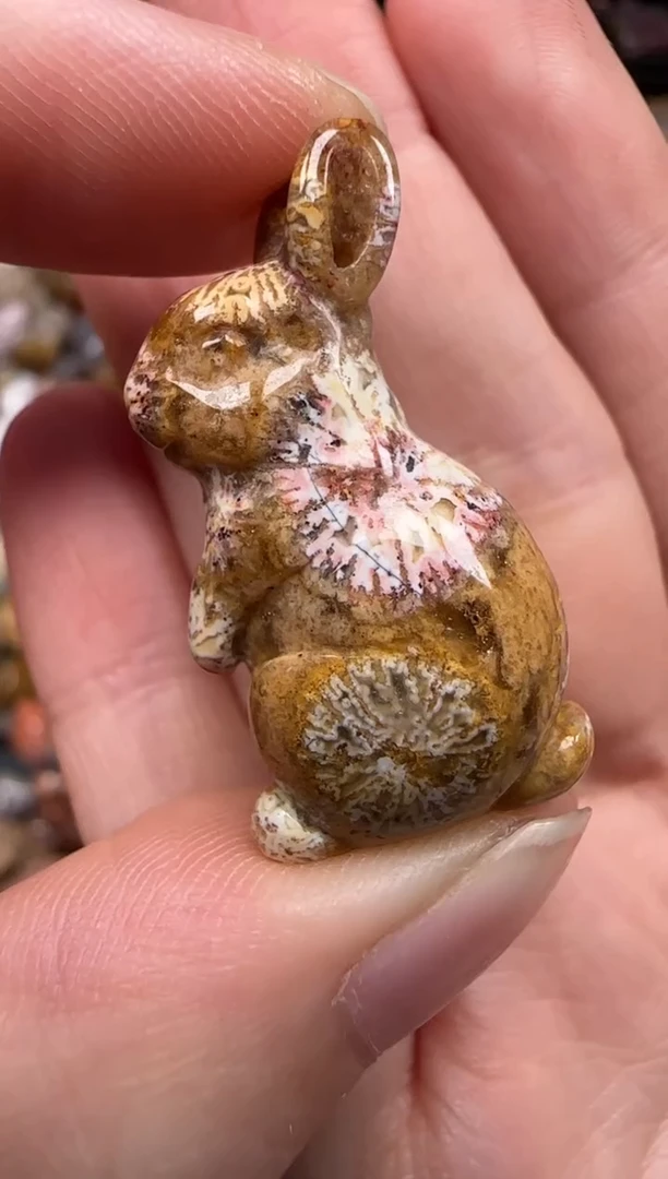 硅化珊瑚（珊瑚玉）未镶嵌颈饰297