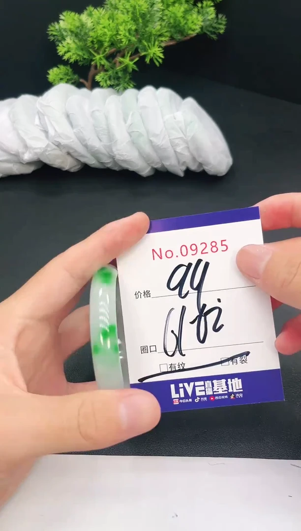 未镶嵌手镯翡翠09285
