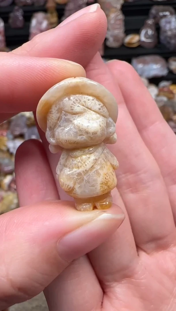 颈饰未镶嵌硅化珊瑚（珊瑚玉）832