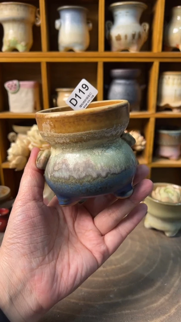 119 内口7【多肉花盆多肉盆】