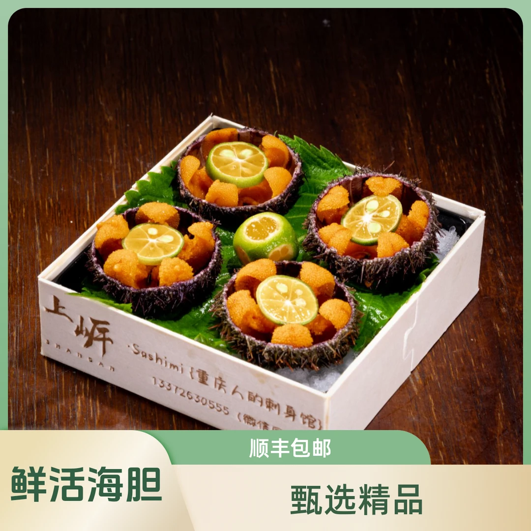 鲜活大连马粪海胆二两规格4只精品