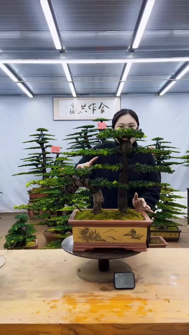 无花朵一物一拍，所见即所得