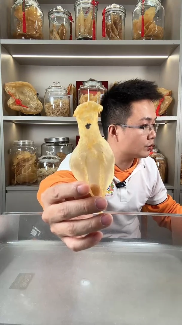 中国大陆白花胶一个