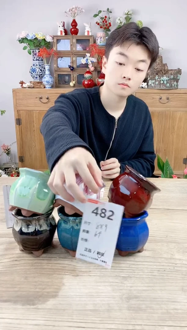 小玩子花盆直播号482