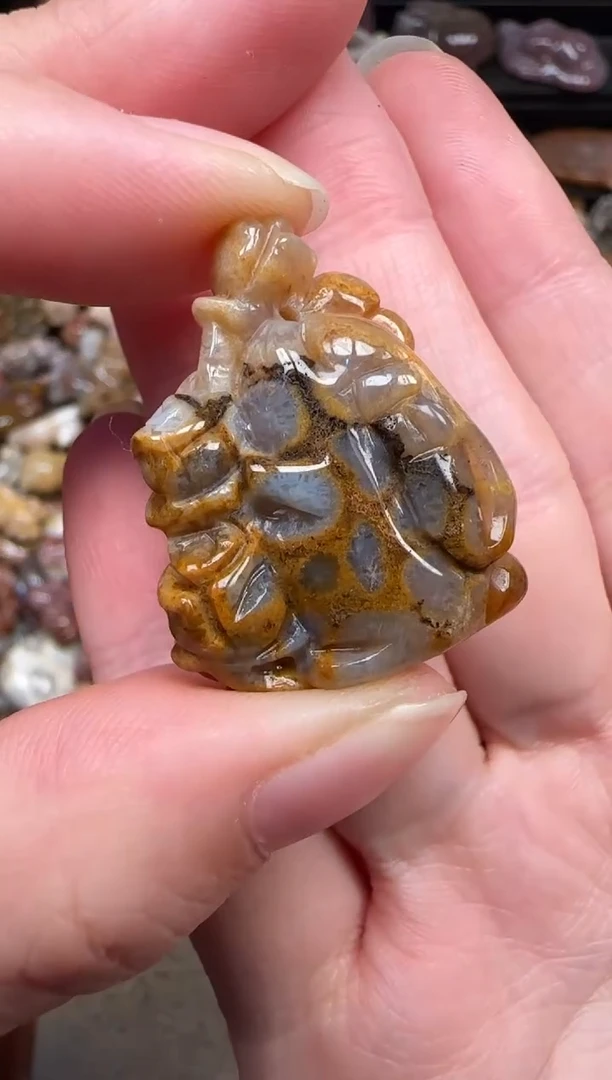 颈饰未镶嵌硅化珊瑚（珊瑚玉）705