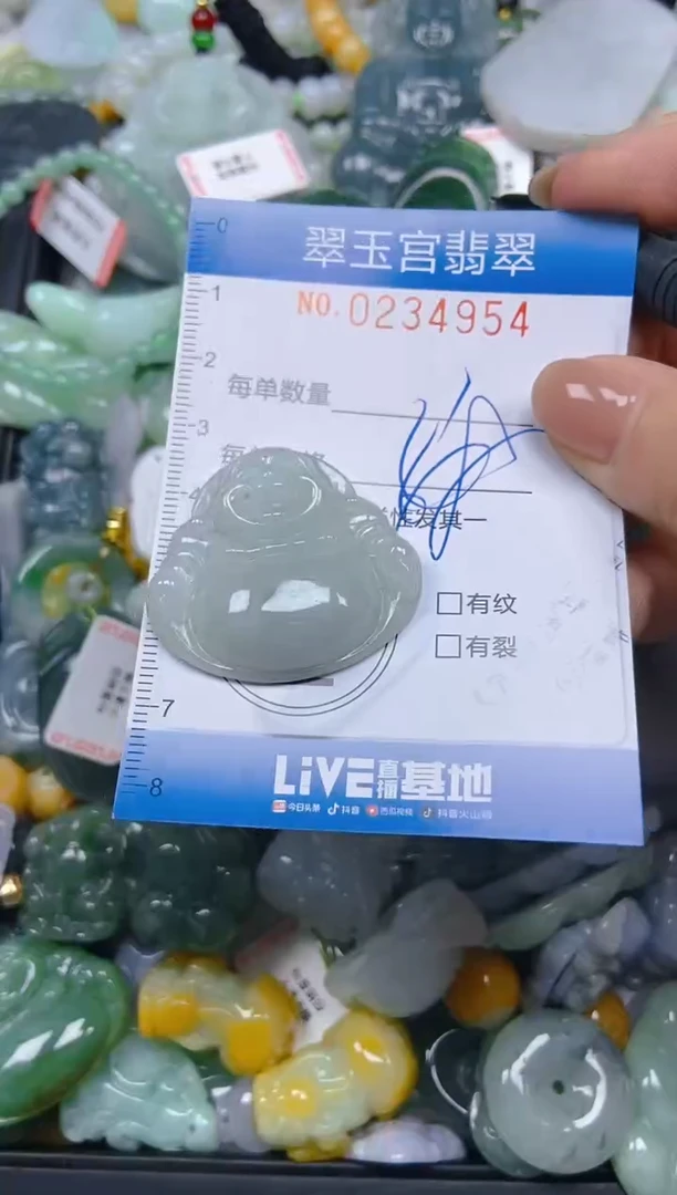 颈饰未镶嵌翡翠闪购C0234954