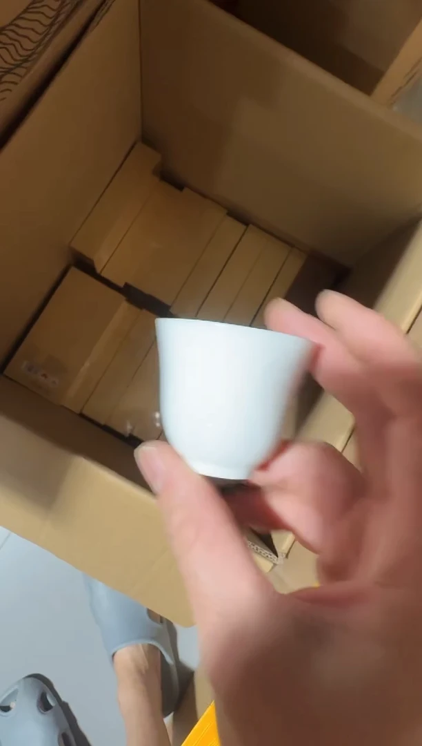 花果桂8盒主人杯