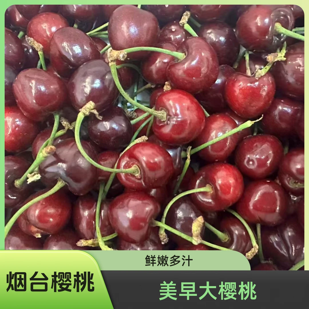 【美早】烟台大樱桃,试吃半斤,顺丰「空运」3斤-8斤