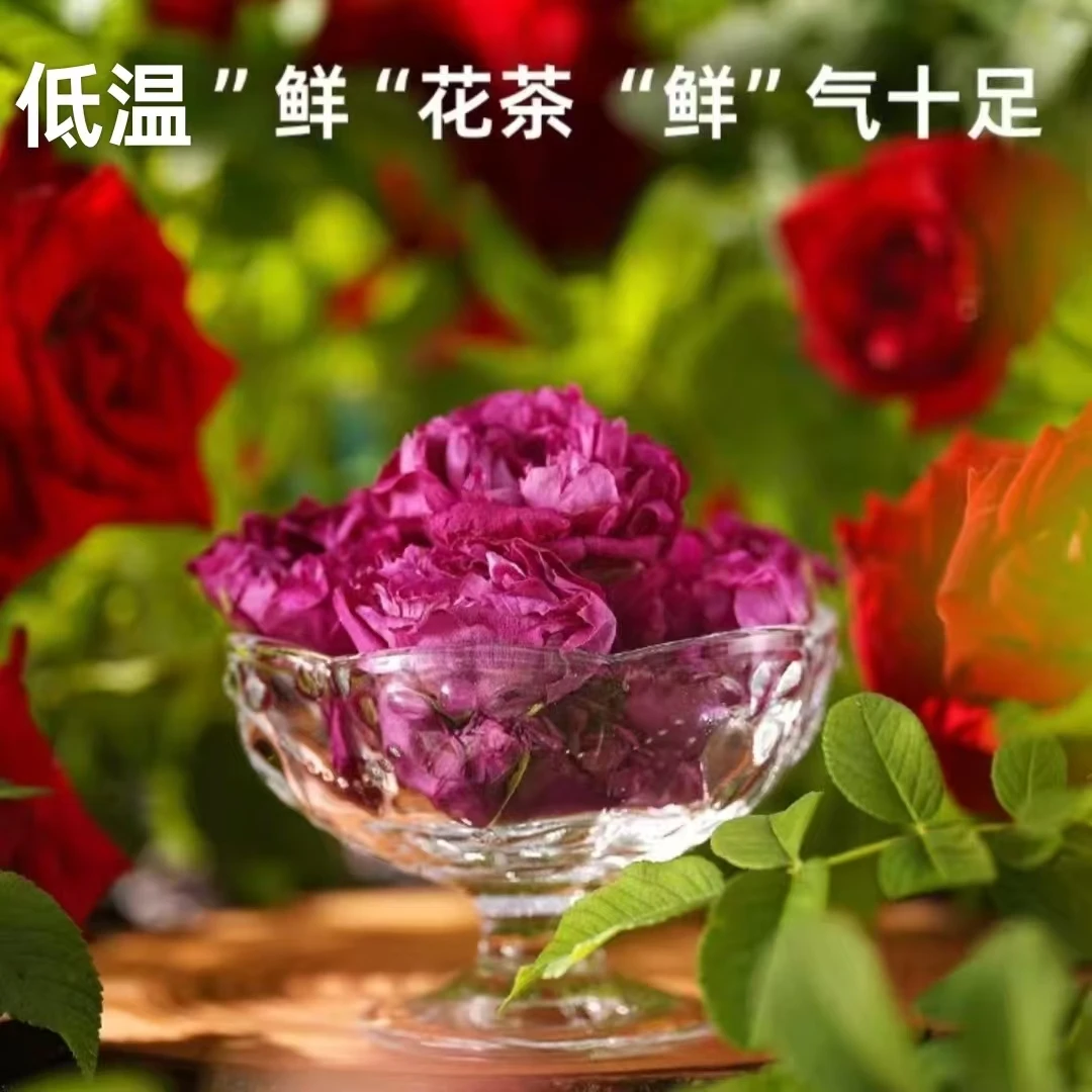 【头采玫瑰花蒄】山东平阴玫瑰花重瓣头采大朵低温无硫正品泡茶素颜