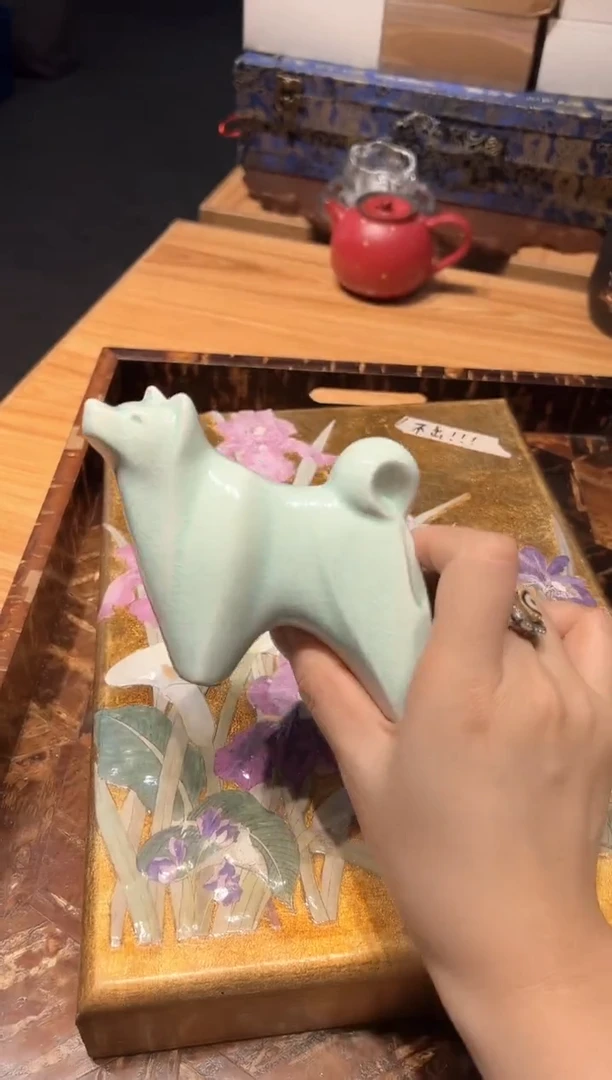 瓷片529啊啊啊啊啊啊啊