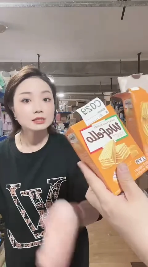 瓷片进口家用百货芝士味威化饼干两盒C029