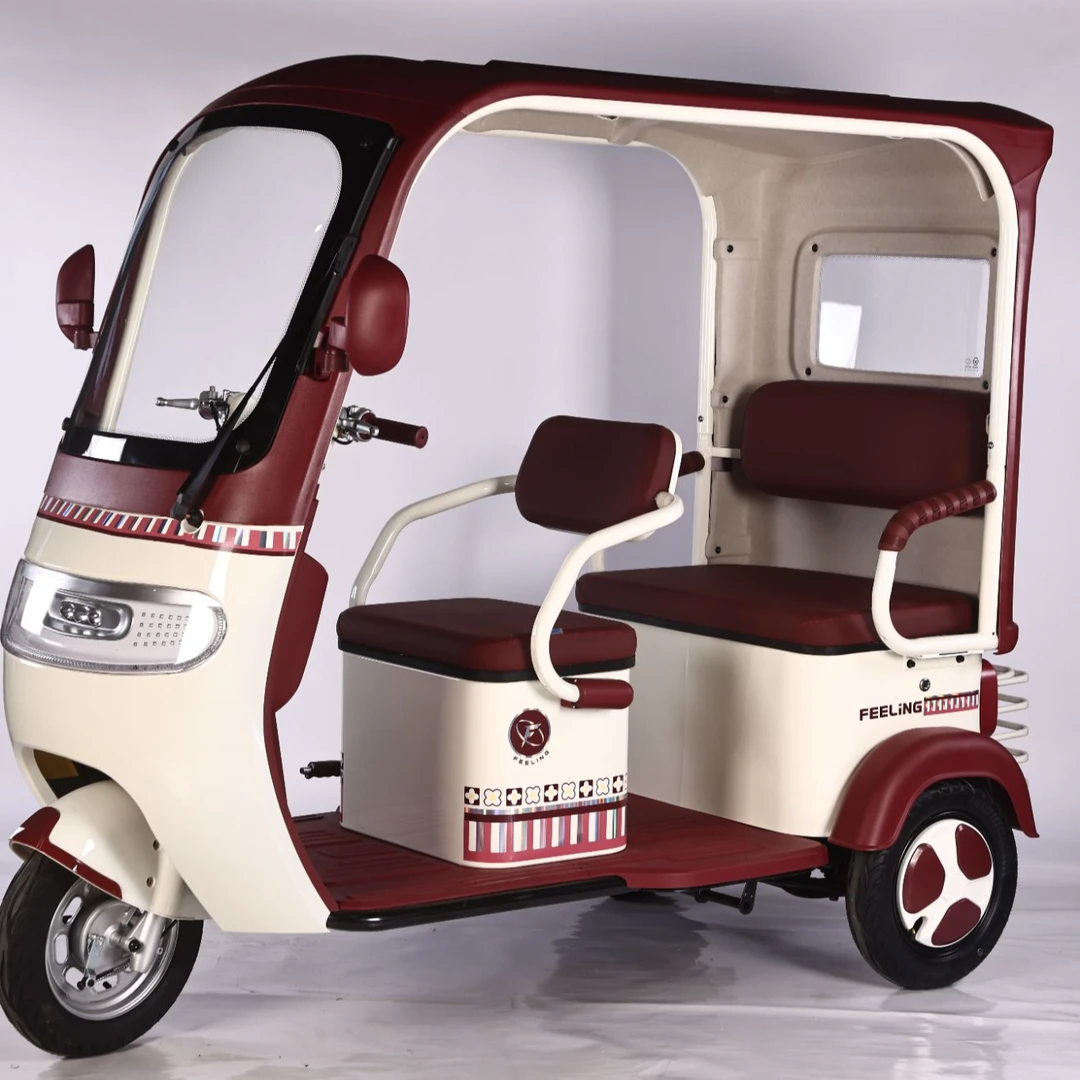 带棚电动三轮车送雨帘客货两用适合老人休闲通勤及接送孩子电动车