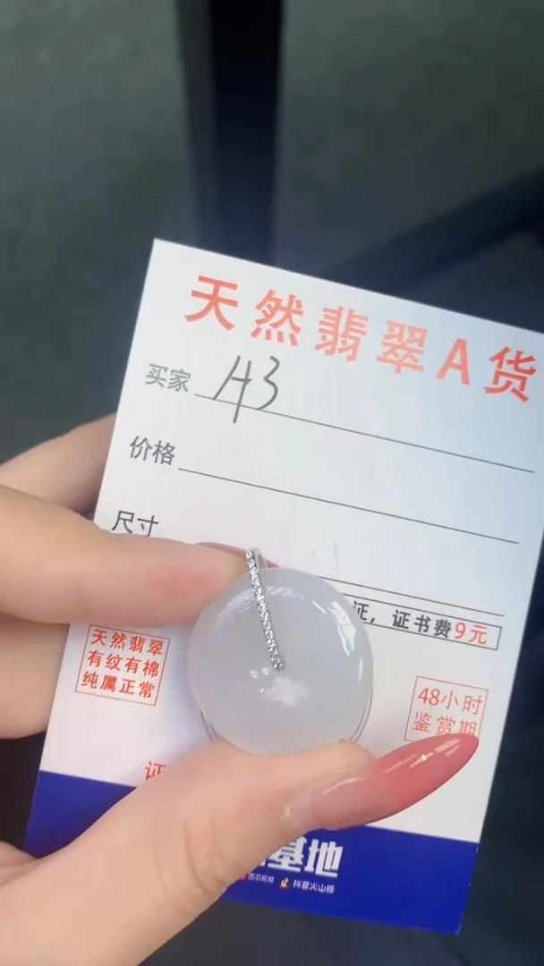 颈饰未镶嵌翡翠天然A货翡翠挂件