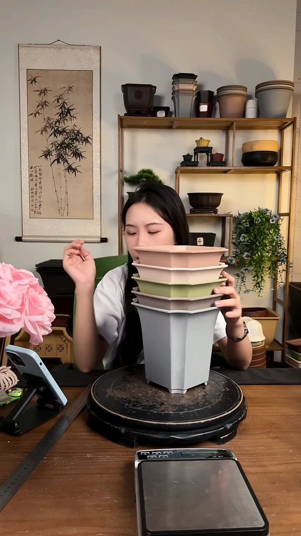 18*17.5四方尊 5只装混色