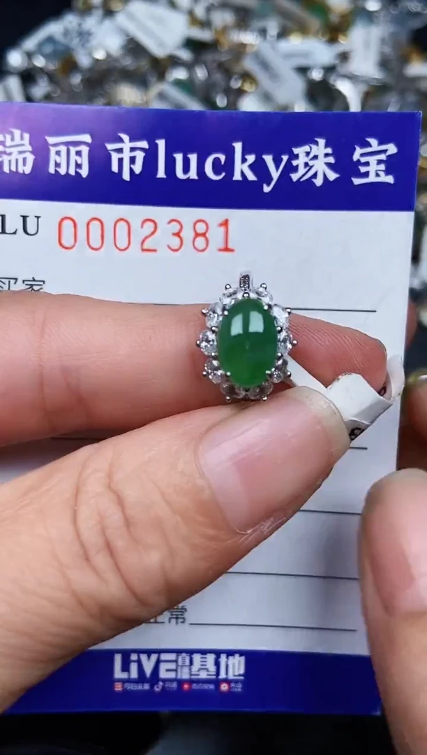 翡翠银S925镶嵌颈饰2381