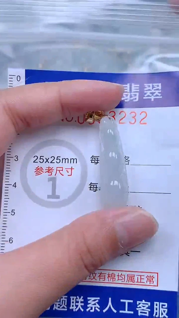 翡翠未镶嵌吊坠(不含链)1