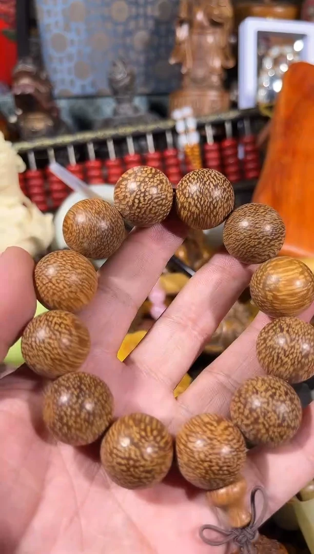 黄杨木11111111111111111111