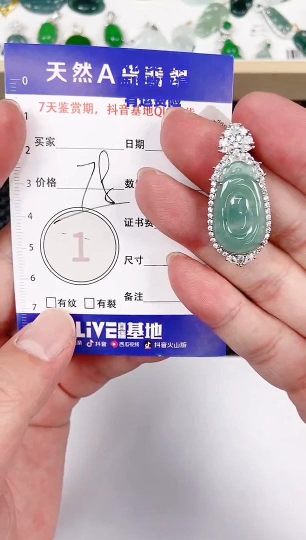颈饰未镶嵌翡翠天然A货翡翠挂件