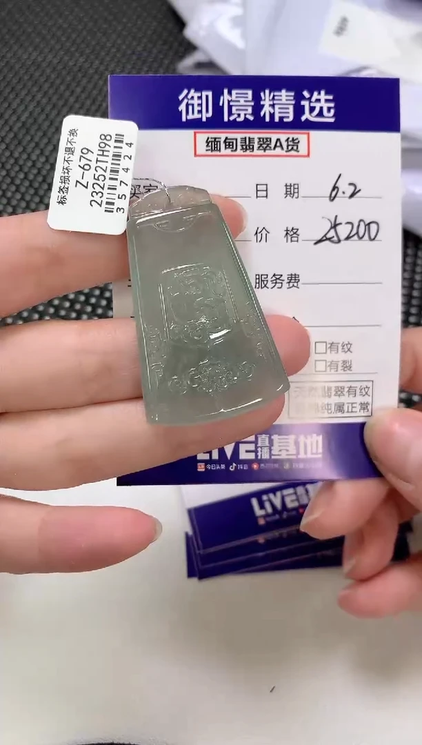 翡翠未镶嵌颈饰46