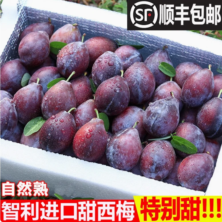 【顺丰包邮】5斤智利空运西梅鲜果新鲜水果整箱高端水果