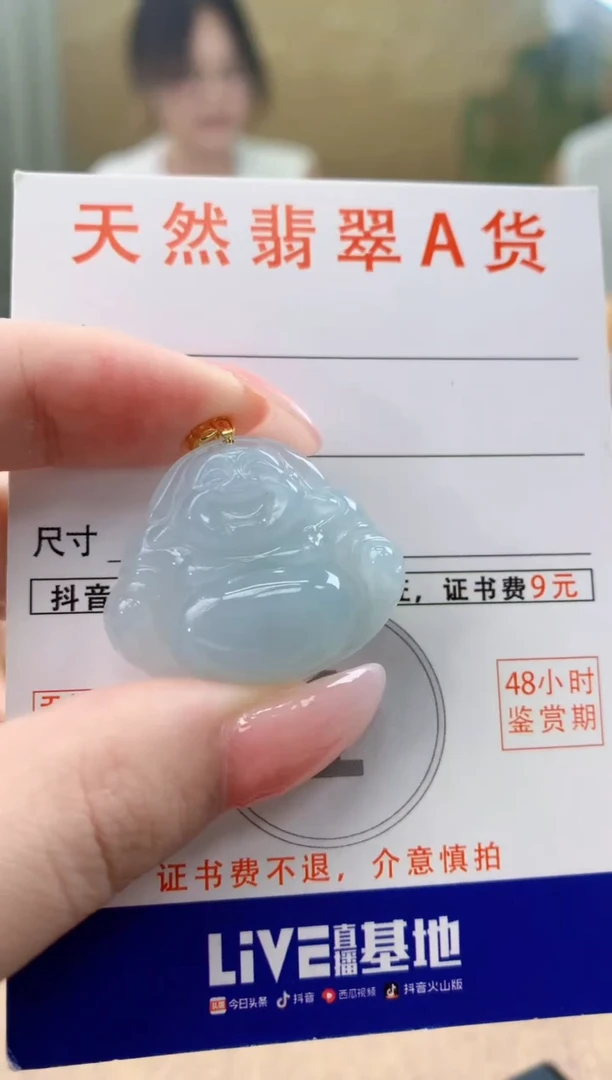 颈饰未镶嵌翡翠天然A货翡翠挂件