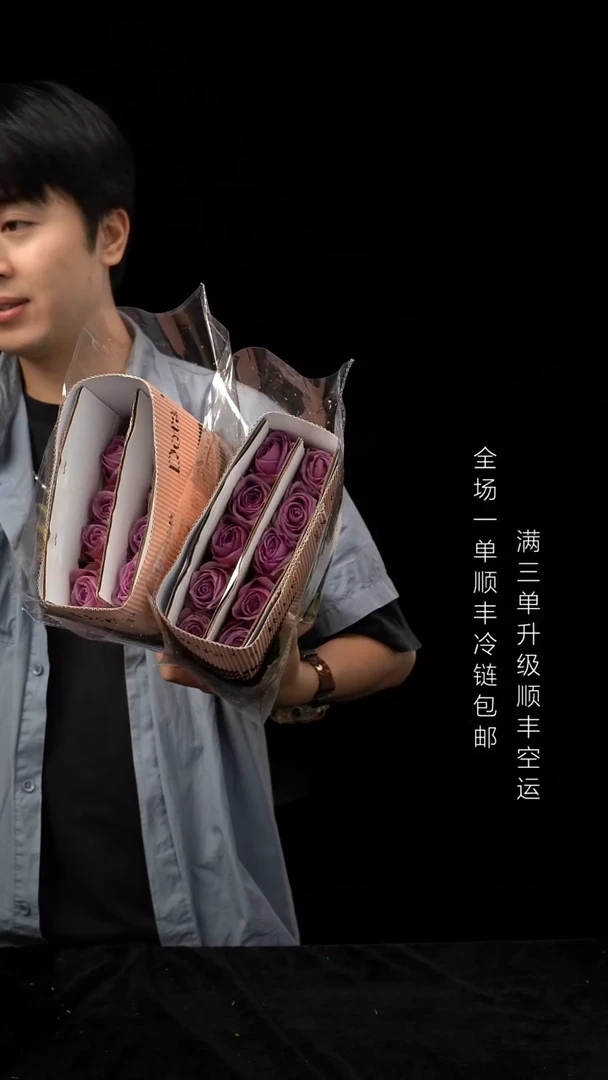 波波丽娜玫瑰20支