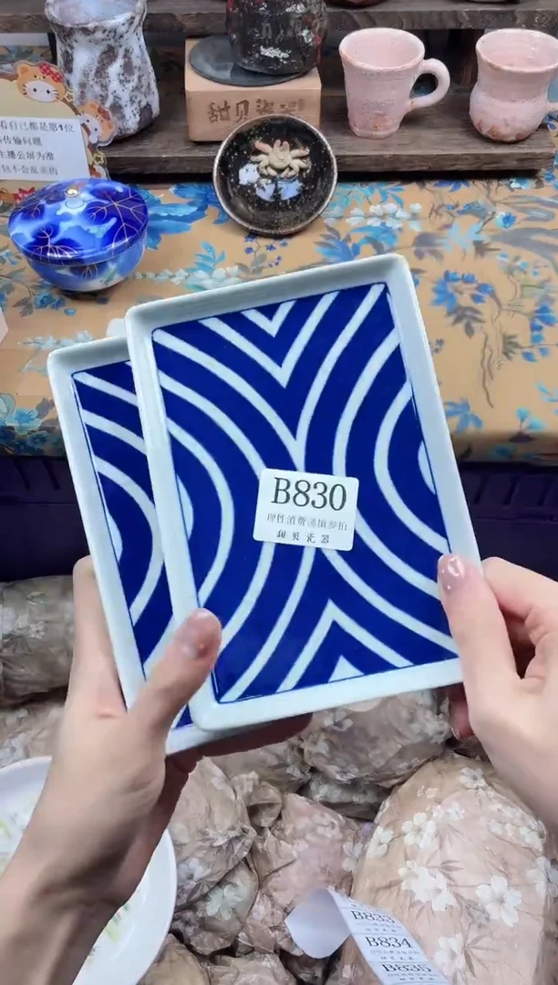 瓷片（****带                B830