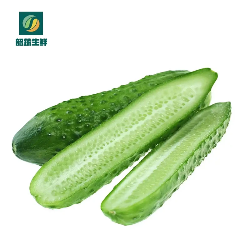 （新鲜）黄瓜 500g