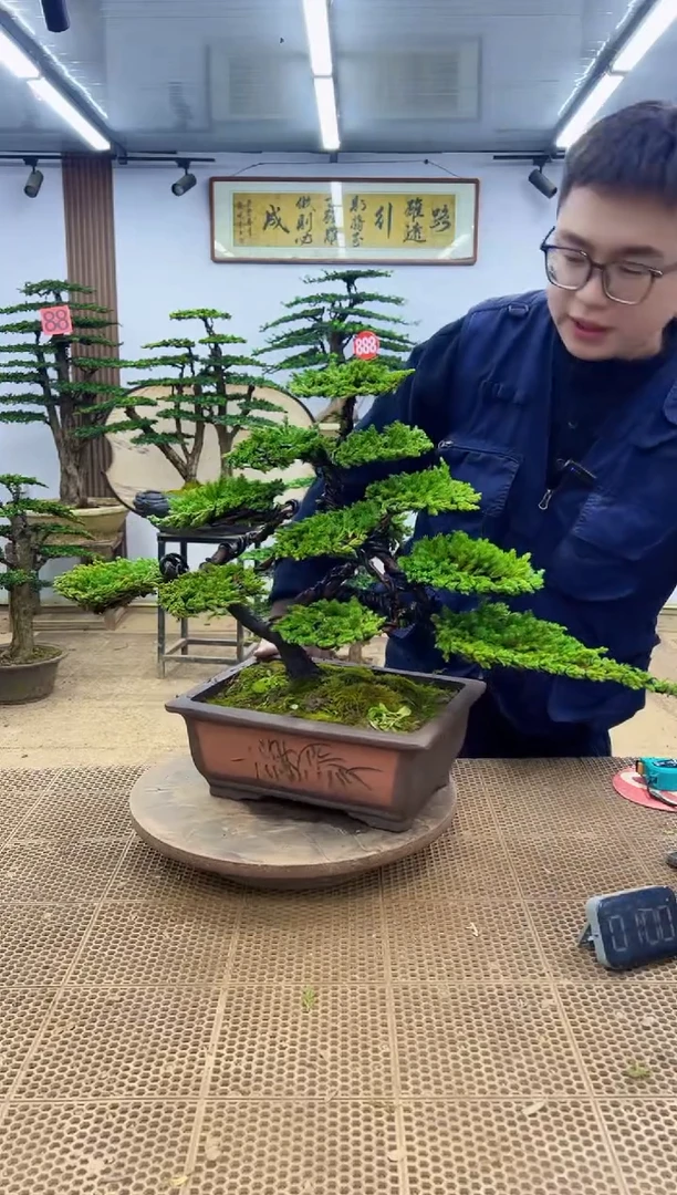 无花朵0000000000000000