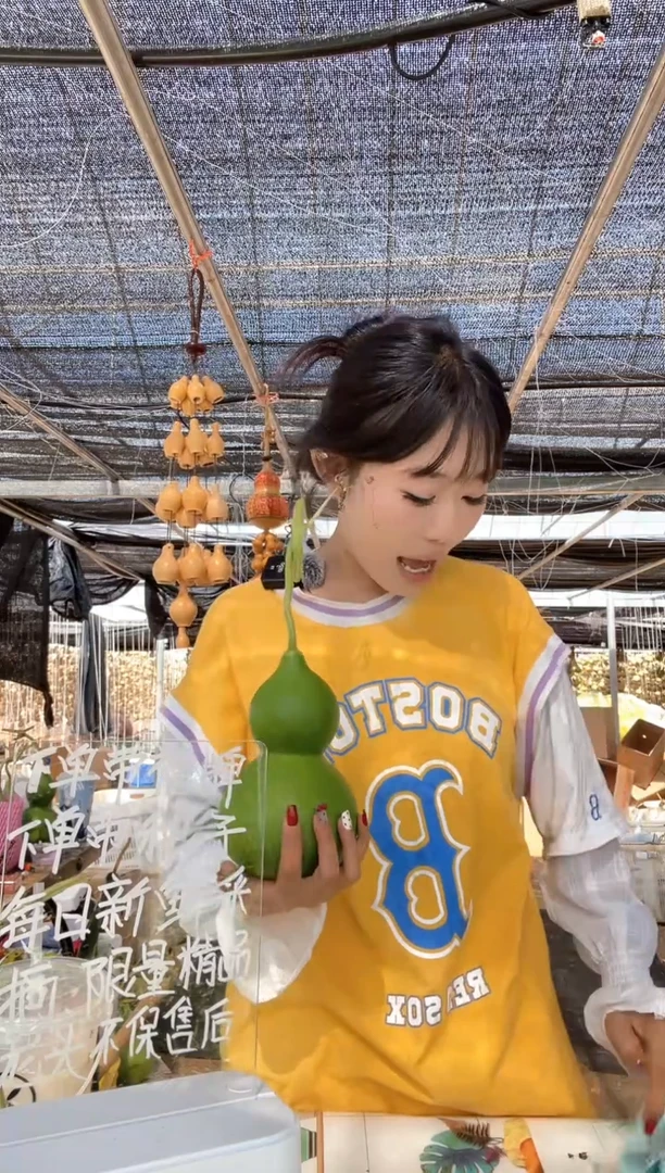 536天然葫芦摆件 一物一拍龙头不保售后