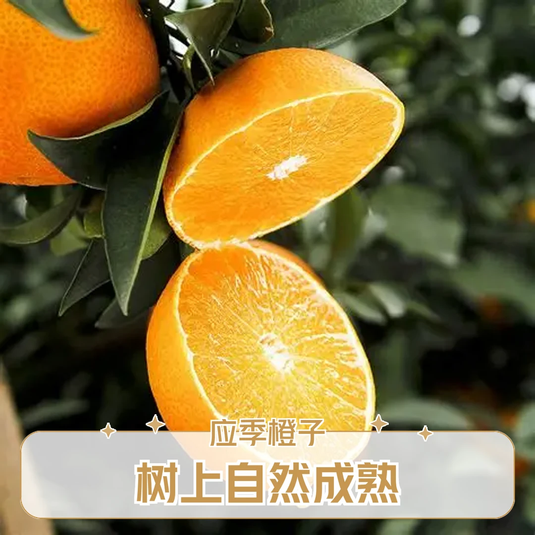 【树上自然成熟】新鲜现摘爱媛果冻橙皮薄多汁香甜可口应季水果