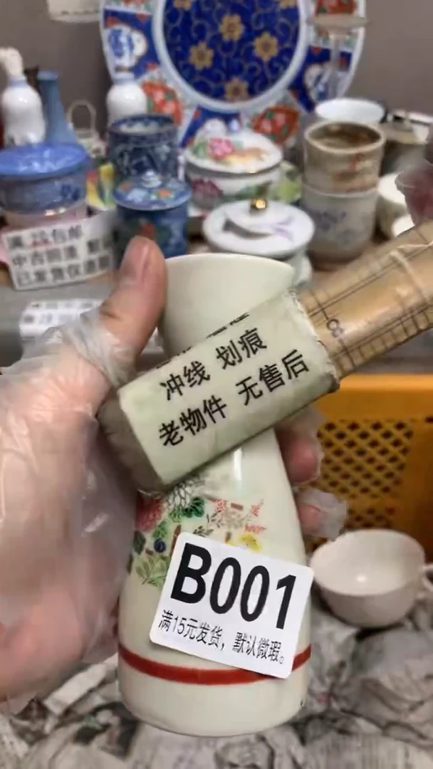 【闪购商品】瓷片001 东北萍姐 东北萍姐 东北萍姐