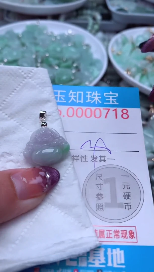 翡翠未镶嵌颈饰718