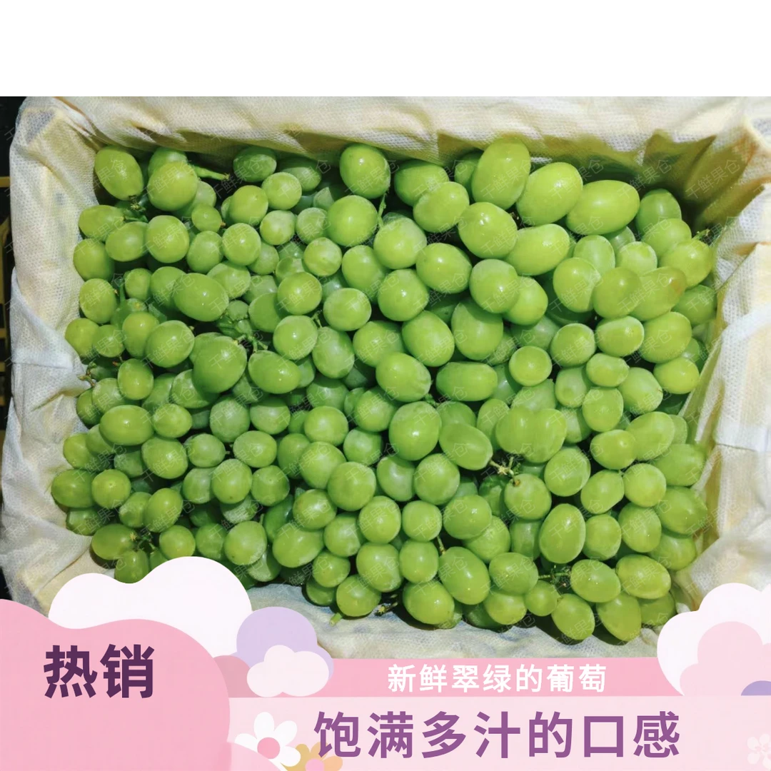 新疆精选珍珠青提新疆维吾尔自治区