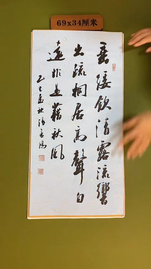 书法书法 张若鸿 尺寸69cm*34cm