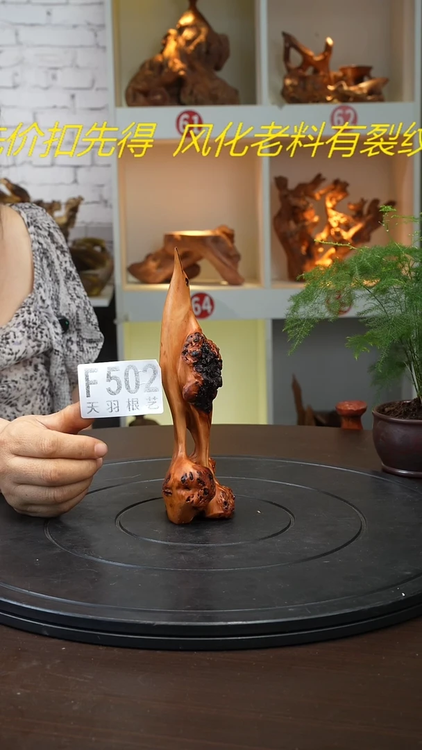 木云南黑果木小鸟