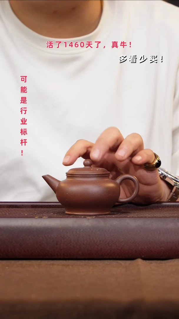 茶壶紫砂紫砂壶紫砂壶紫砂壶