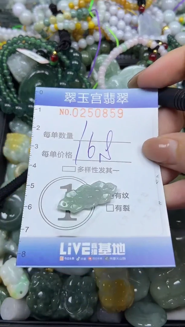 颈饰未镶嵌翡翠闪购C0250859