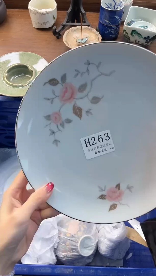 【闪购商品】瓷片----------H263