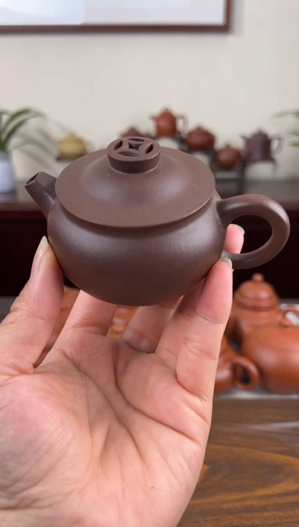 茶壶紫砂紫泥钱币壶100CC