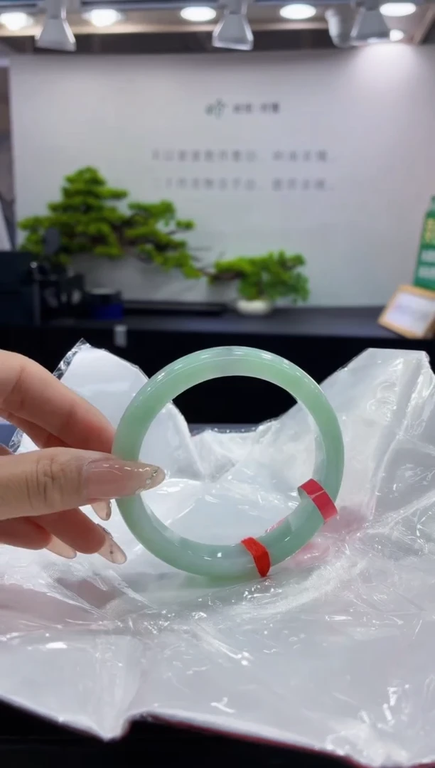 未镶嵌手镯翡翠2