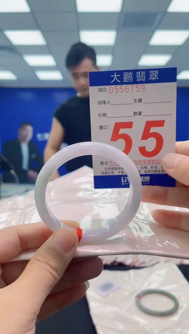 未镶嵌手镯翡翠AAAAAAAAAA