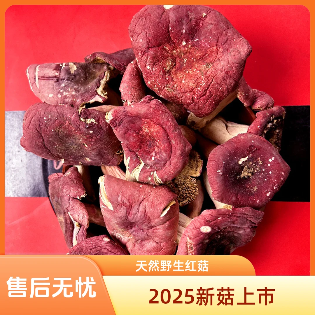 开伞菇 野生红菇精品煮面煲汤滋补佳品不染色当季野生正红菇