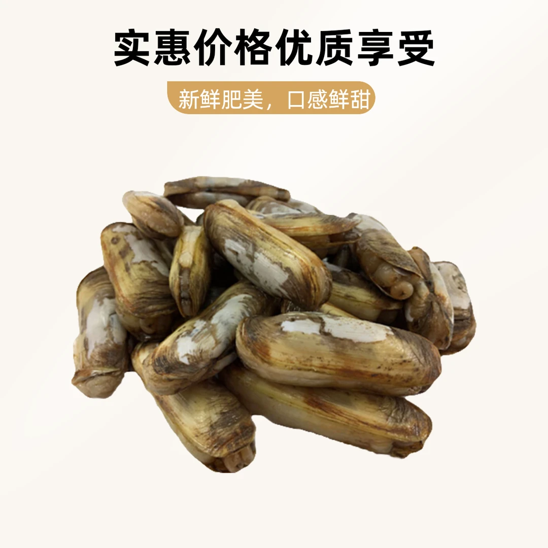 【小时达】蛏子约500g