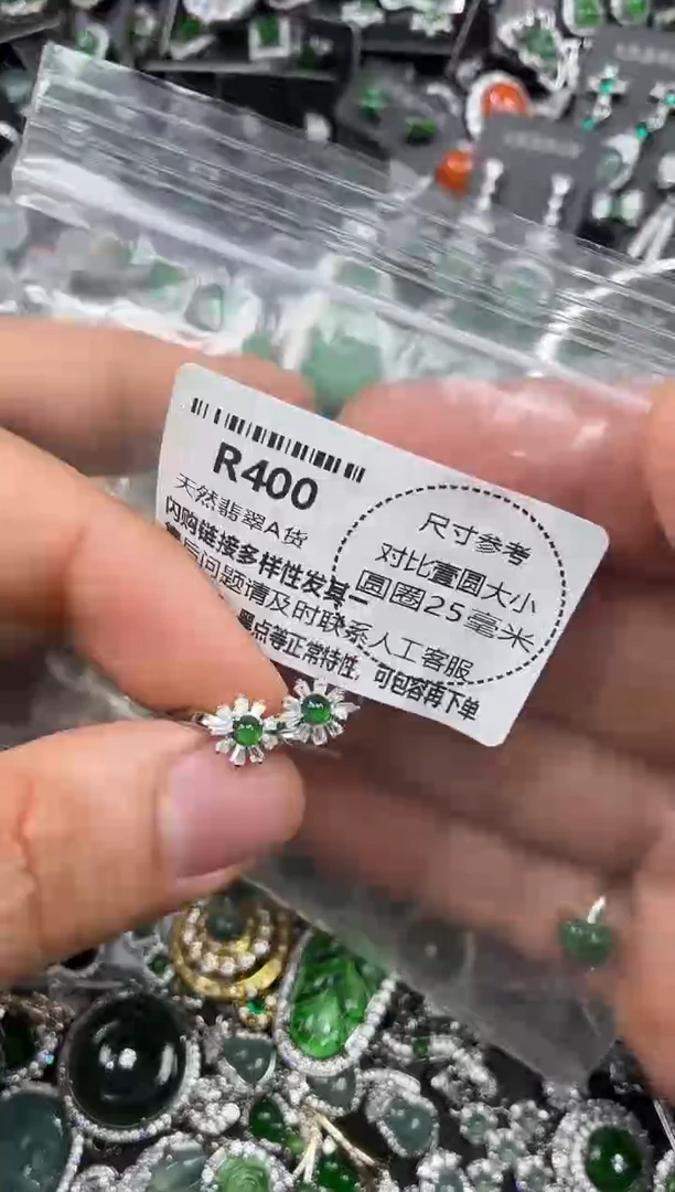 颈饰未镶嵌翡翠R400耳扣