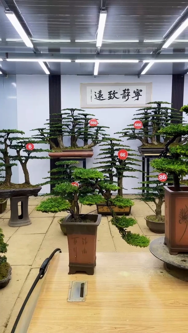 【闪购商品】0000000