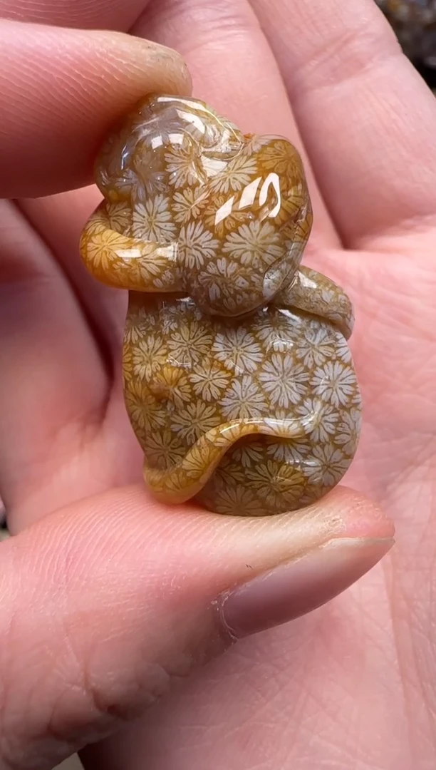 硅化珊瑚（珊瑚玉）未镶嵌颈饰479